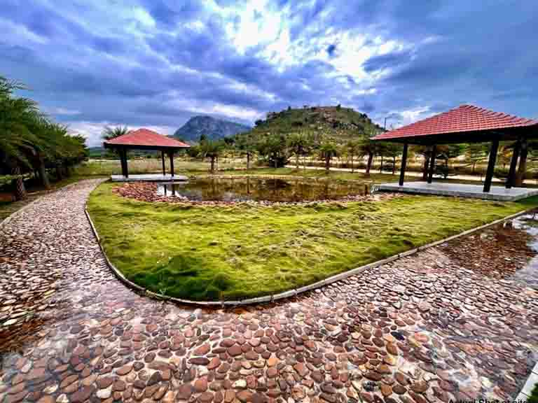 NBR Hills View